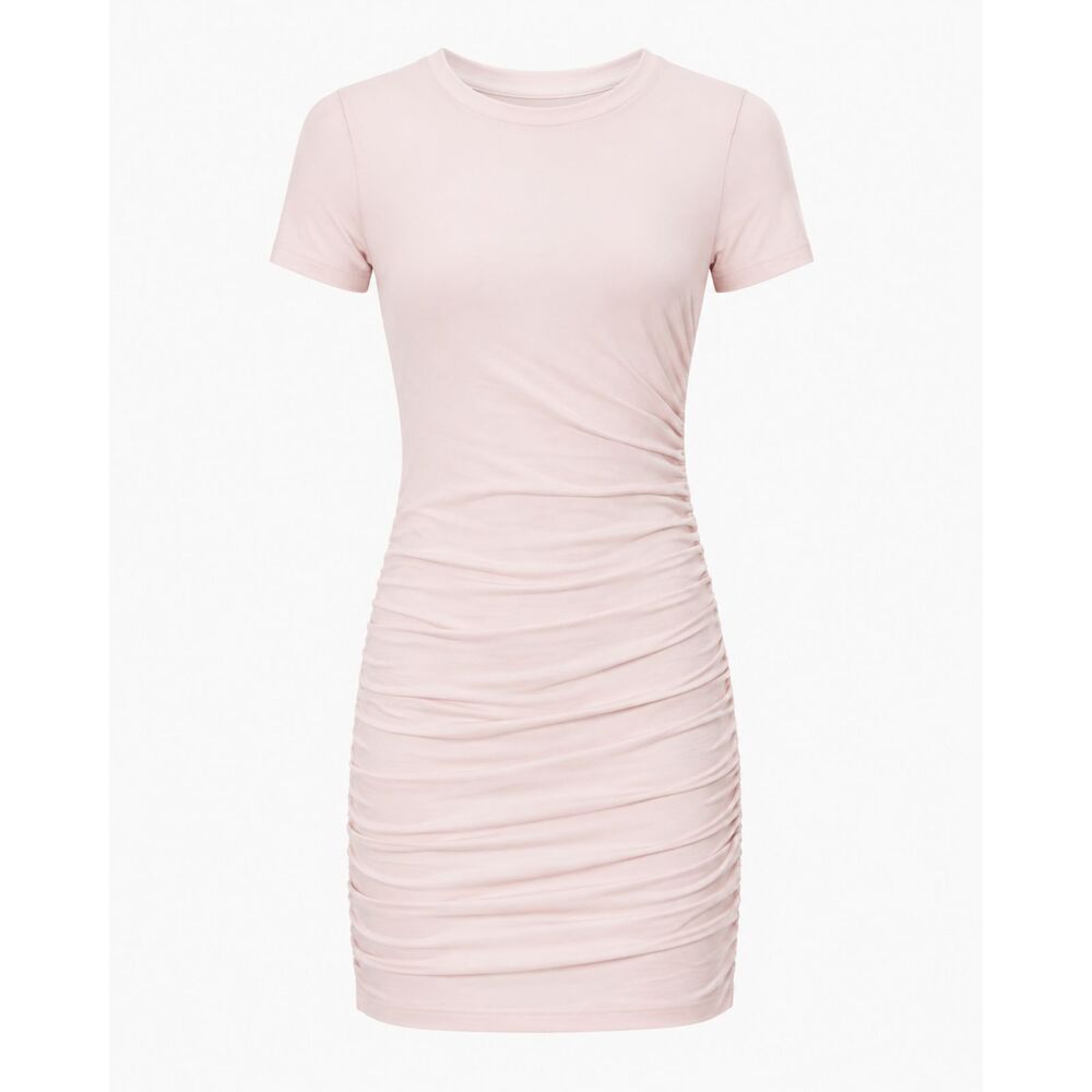 Aritzia Babaton T Shirt Dress